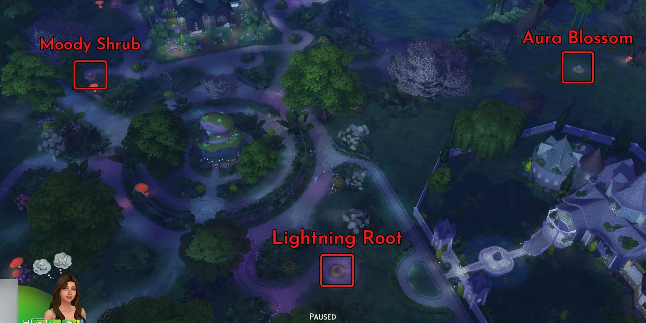Cận cảnh Aura Blossom, loài cây Everdew độc đáo mang lại cánh hoa Aura Petals trong The Sims 4