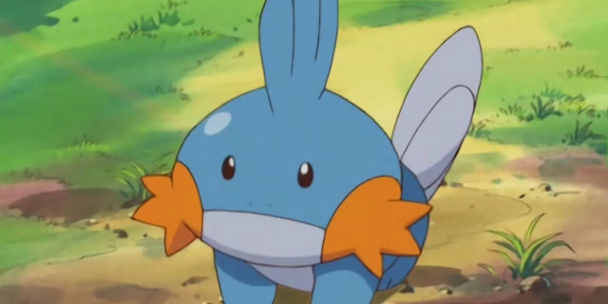 Mudkip đứng trên mặt đất, với hình dáng giống axolotl hơn là một loài cá bùn thông thường.