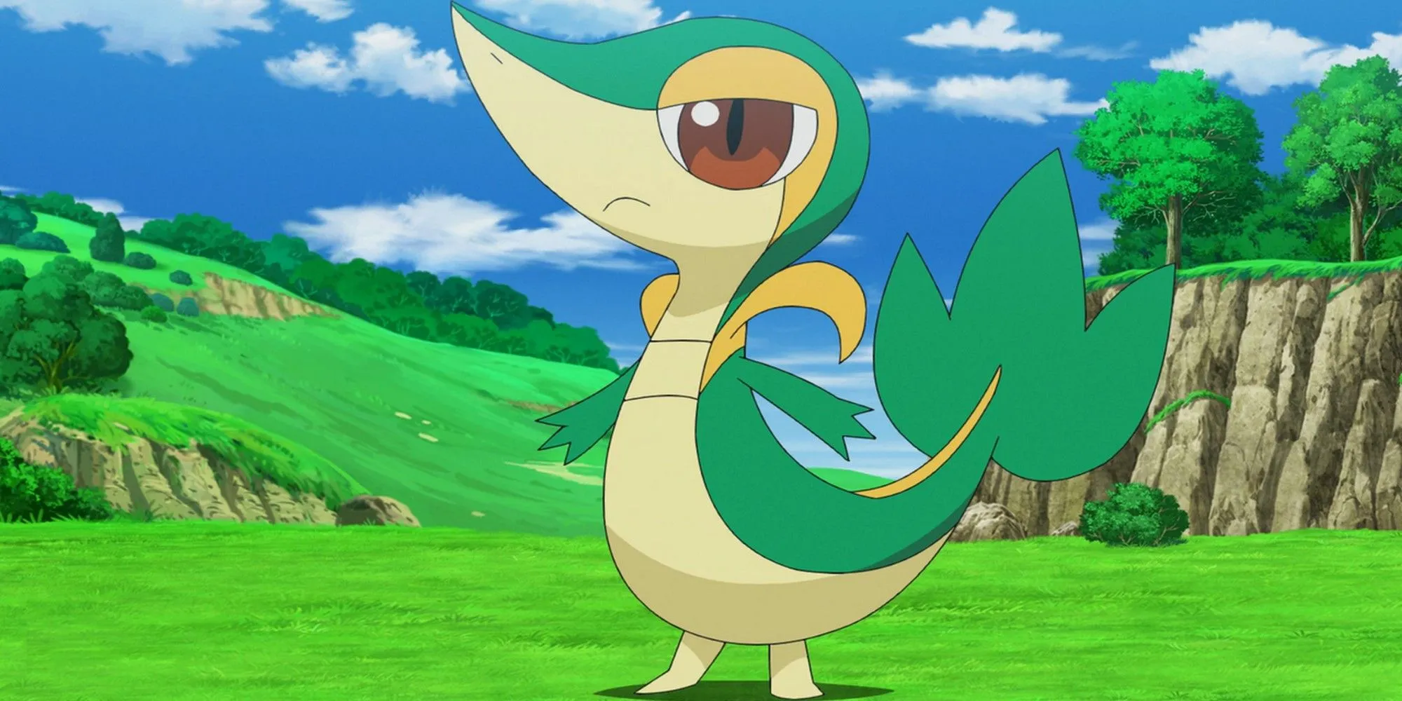 Snivy đứng trong cỏ, thể hiện dáng vẻ &quot;Rắn Cỏ&quot; nhưng có tay chân rõ ràng trong series Pokemon.