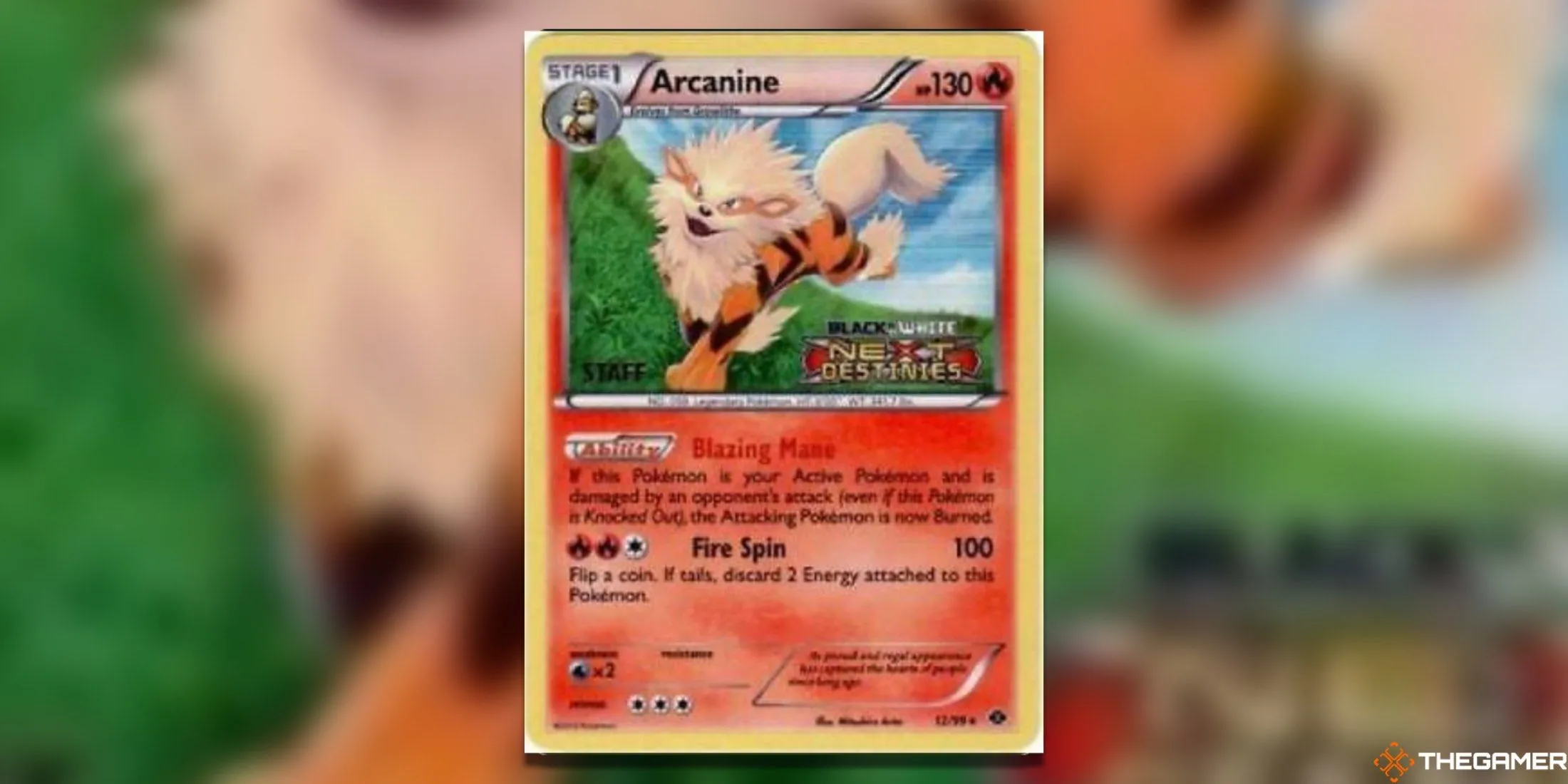 Thẻ bài Pokemon TCG Prerelease Arcanine BW Promo 12/99 độc đáo với artwork mạnh mẽ