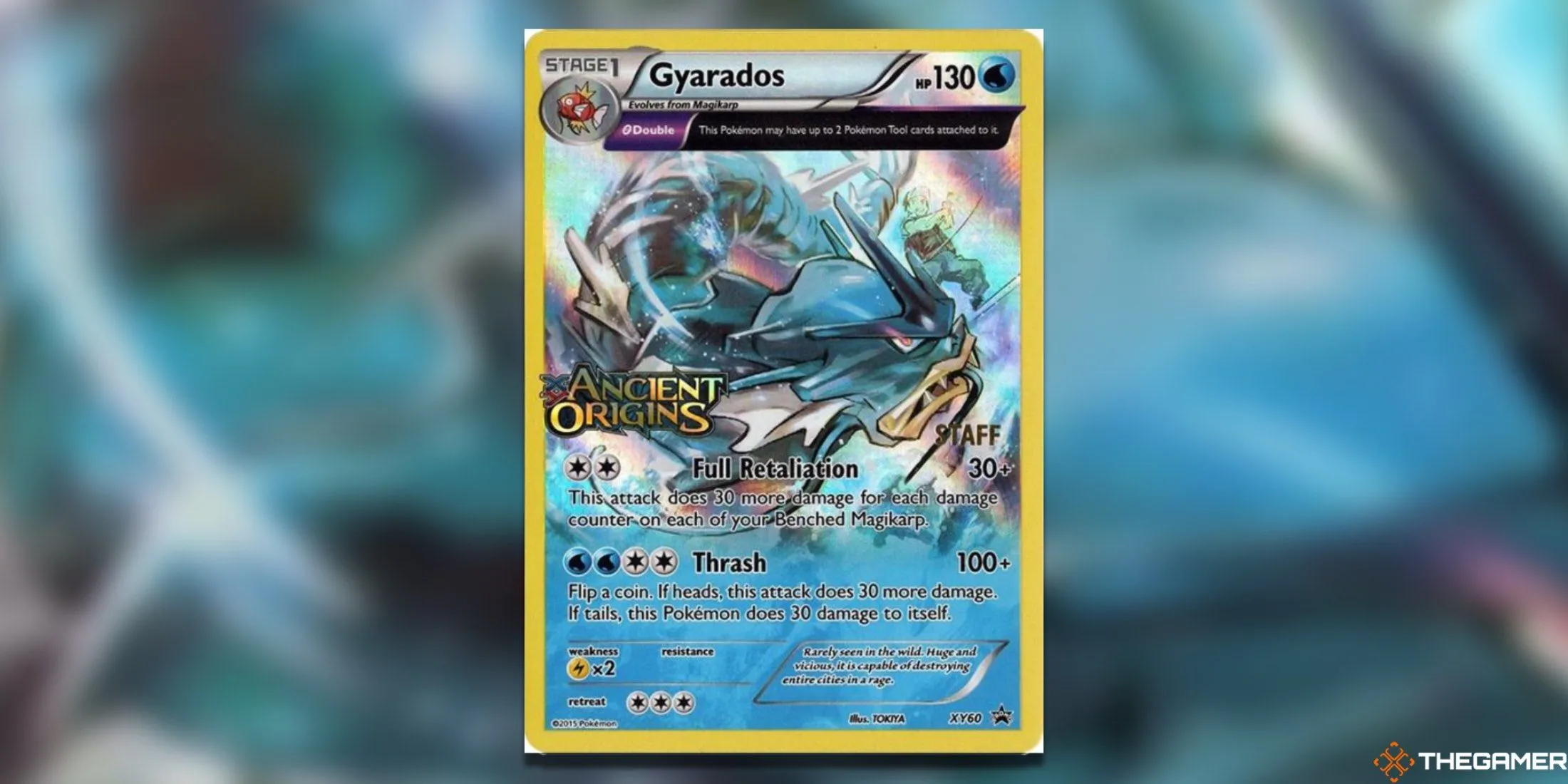 Thẻ bài Pokemon TCG Prerelease Gyarados XY60 Staff từ Ancient Origins với tạo hình dữ dằn